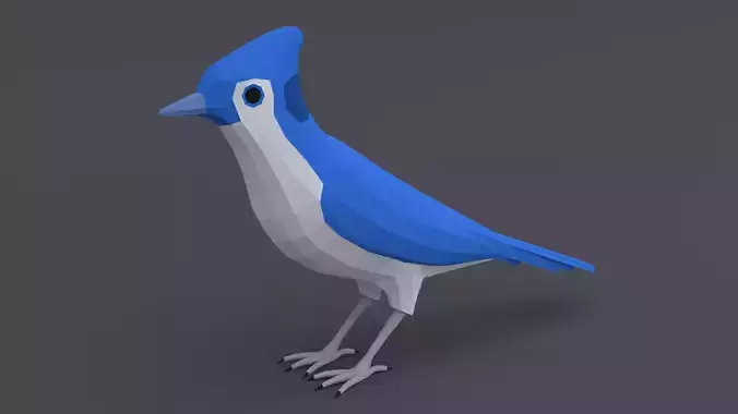 Low Poly Cartoon Blue Jay