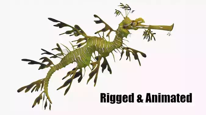 Phycodurus eques seadragon Low-poly 3D model