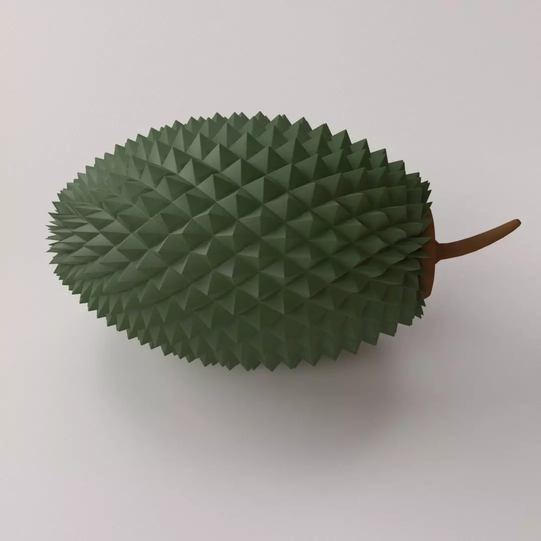 Durian fruit 3D model_0