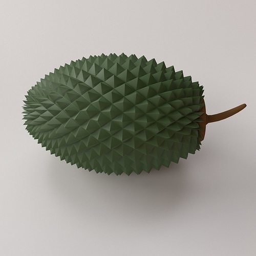 Durian fruit 3D model