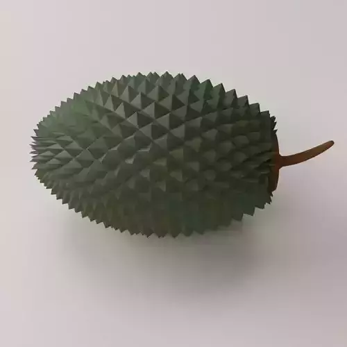 Durian fruit