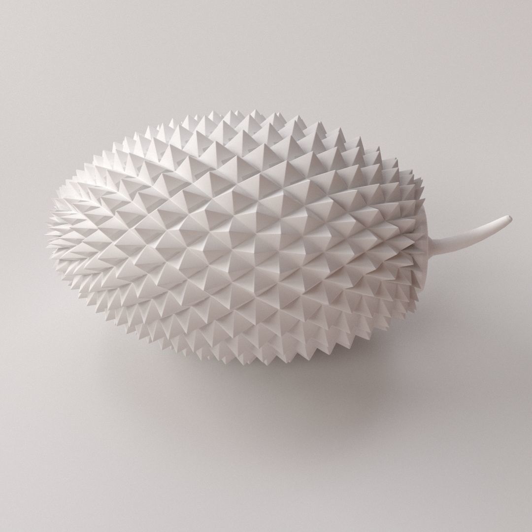 Durian fruit 3D model_3