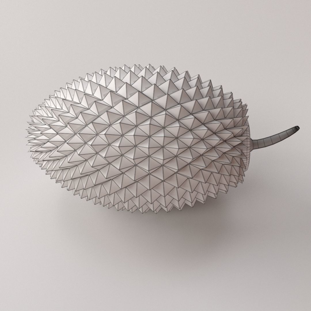 Durian fruit 3D model_4