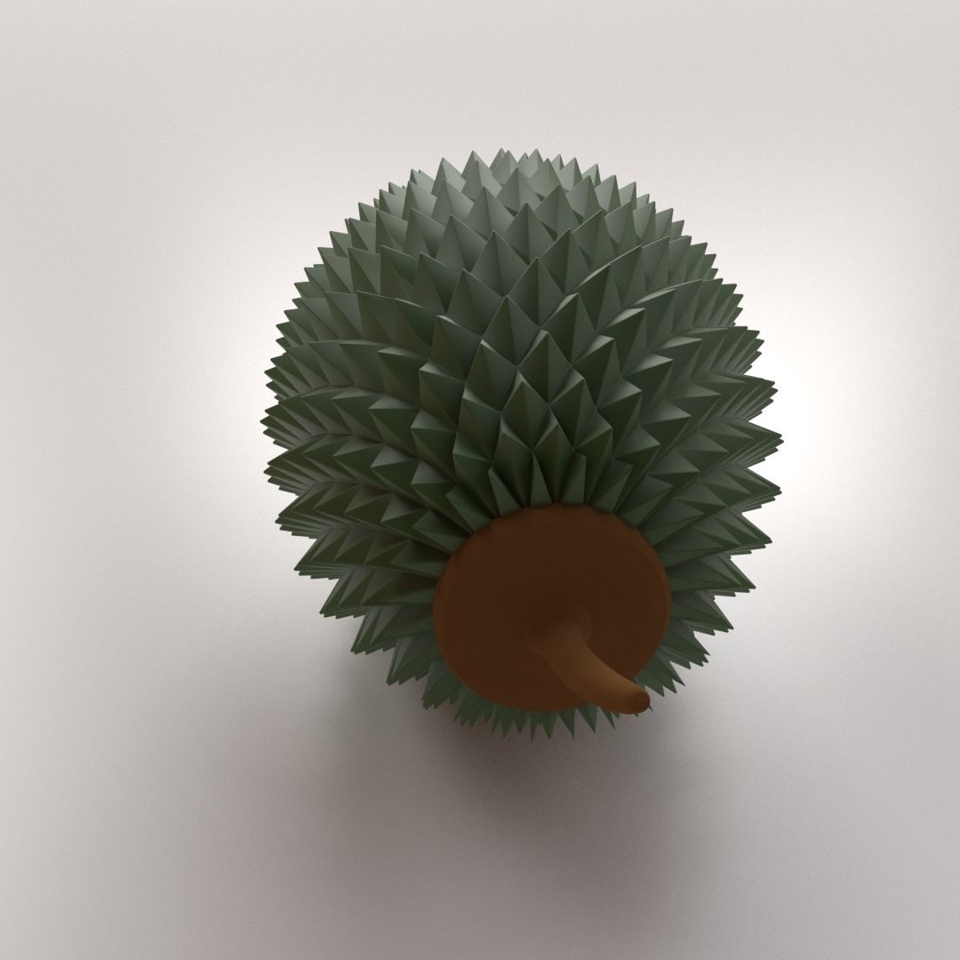 Durian fruit 3D model_2