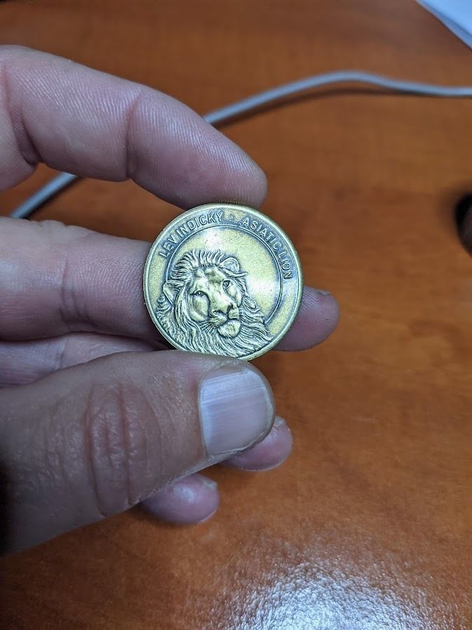 Collection 10 golden dragon 3D print model_20