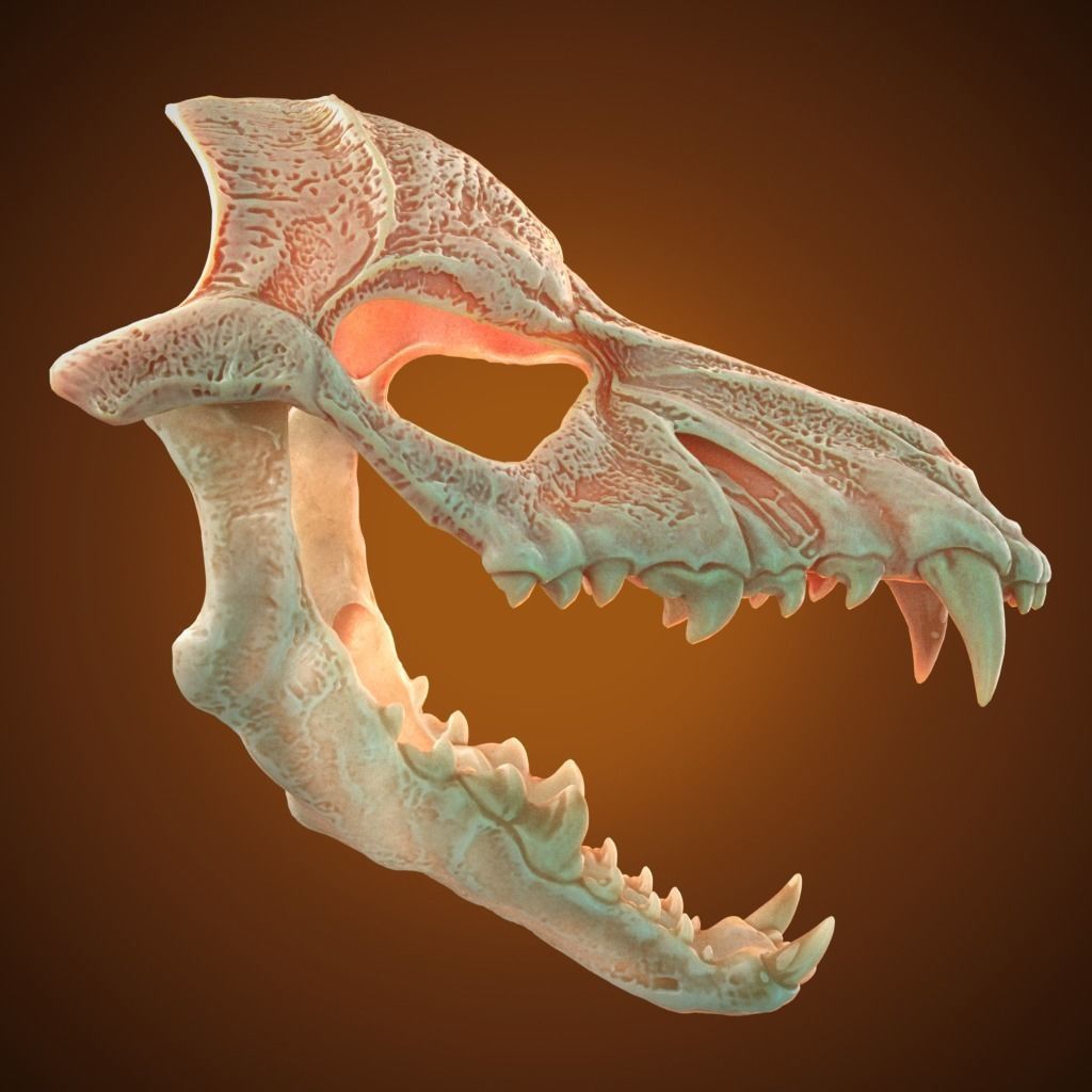 Scary Mask Wolf Skull 3D Model Stl File Halloween 3D print model_6