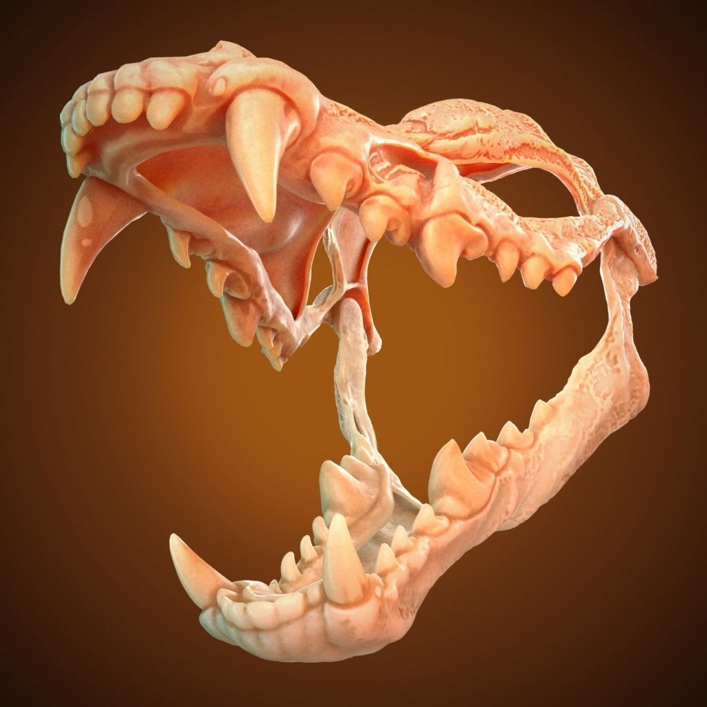 Scary Mask Wolf Skull 3D Model Stl File Halloween 3D print model_9