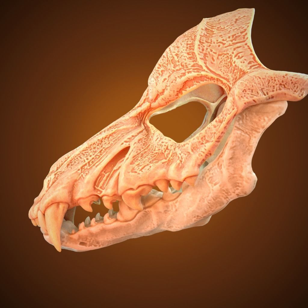 Scary Mask Wolf Skull 3D Model Stl File Halloween 3D print model_7