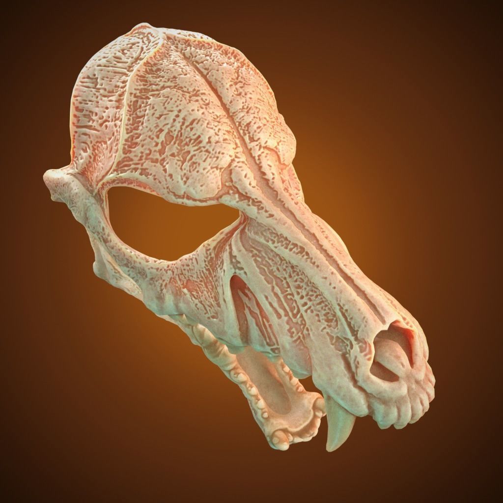 Scary Mask Wolf Skull 3D Model Stl File Halloween 3D print model_8