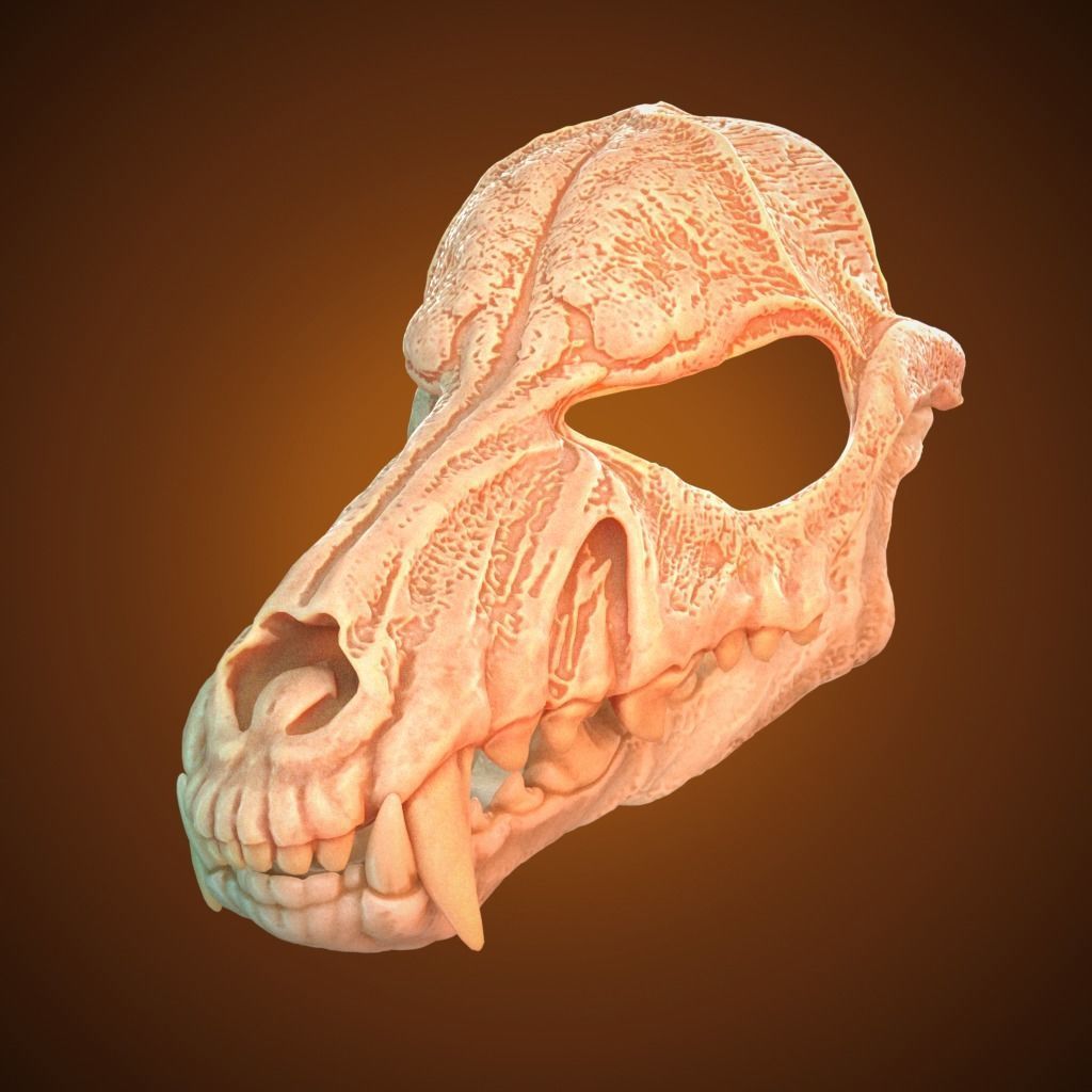 Scary Mask Wolf Skull 3D Model Stl File Halloween 3D print model_2