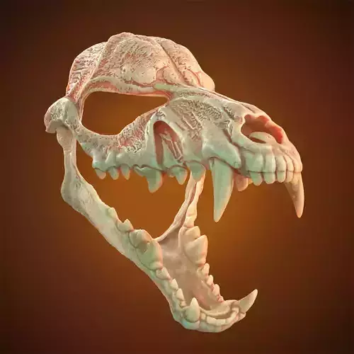Scary Mask Wolf Skull 3D Model Stl File Halloween 3D print model