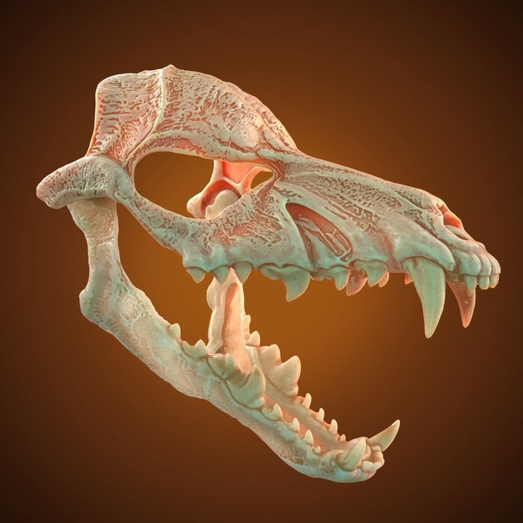 Scary Mask Wolf Skull 3D Model Stl File Halloween 3D print model_5