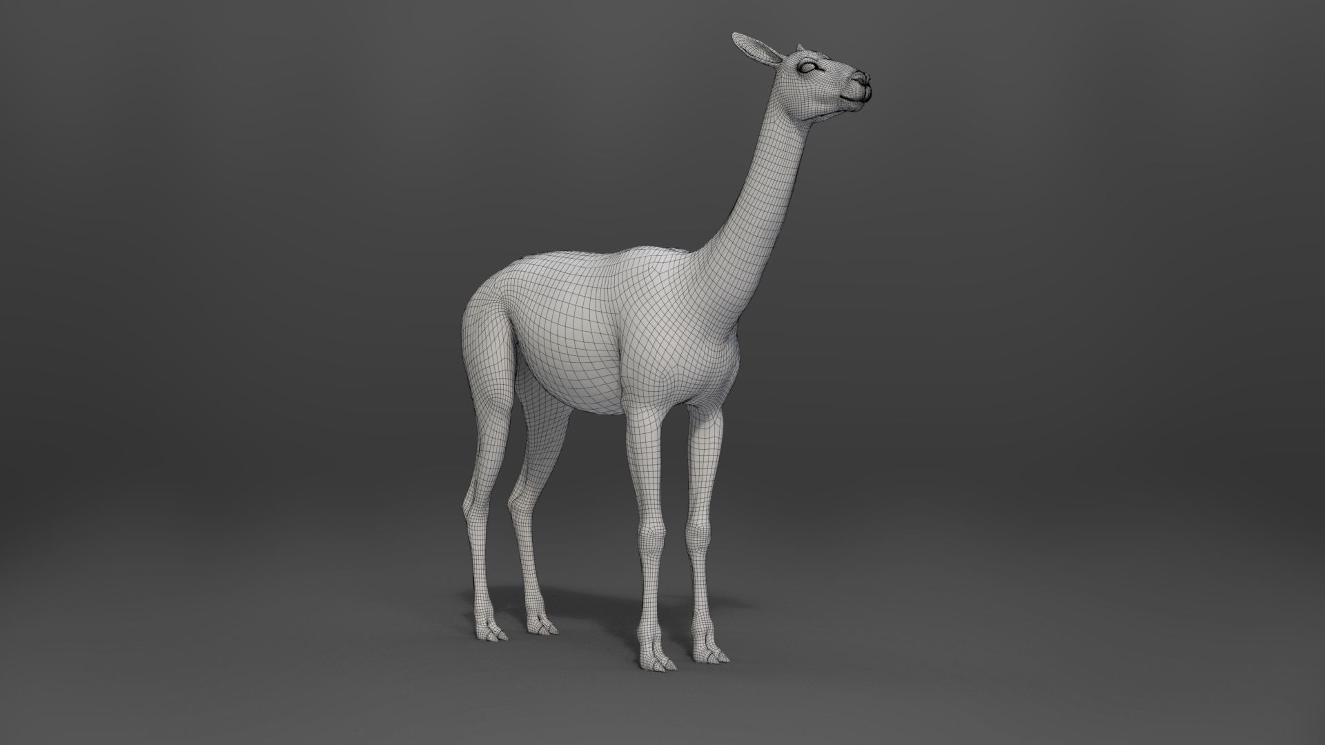 Alpaca Animated VFX Grace 3D model_24