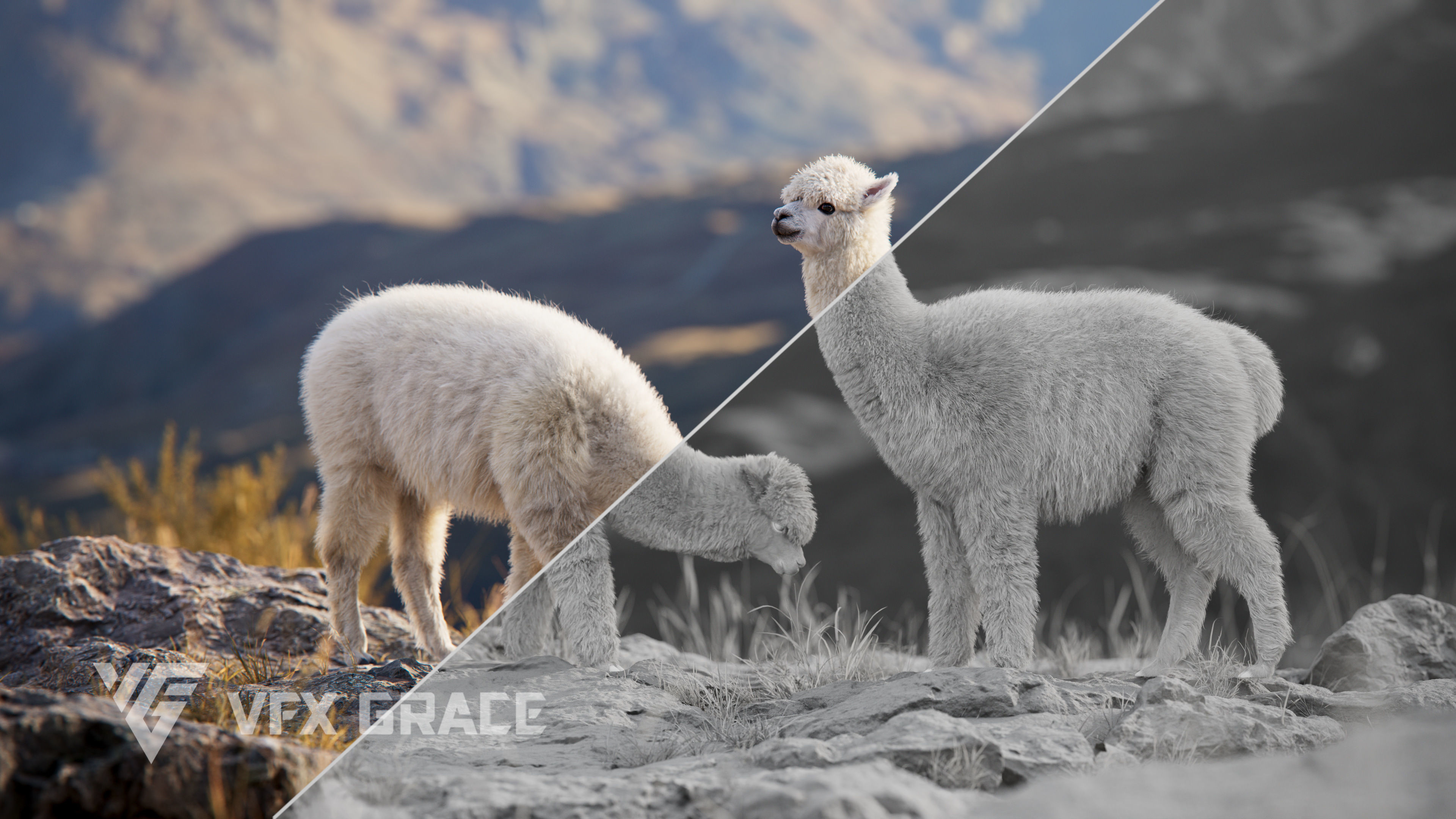 Alpaca Animated VFX Grace 3D model_6
