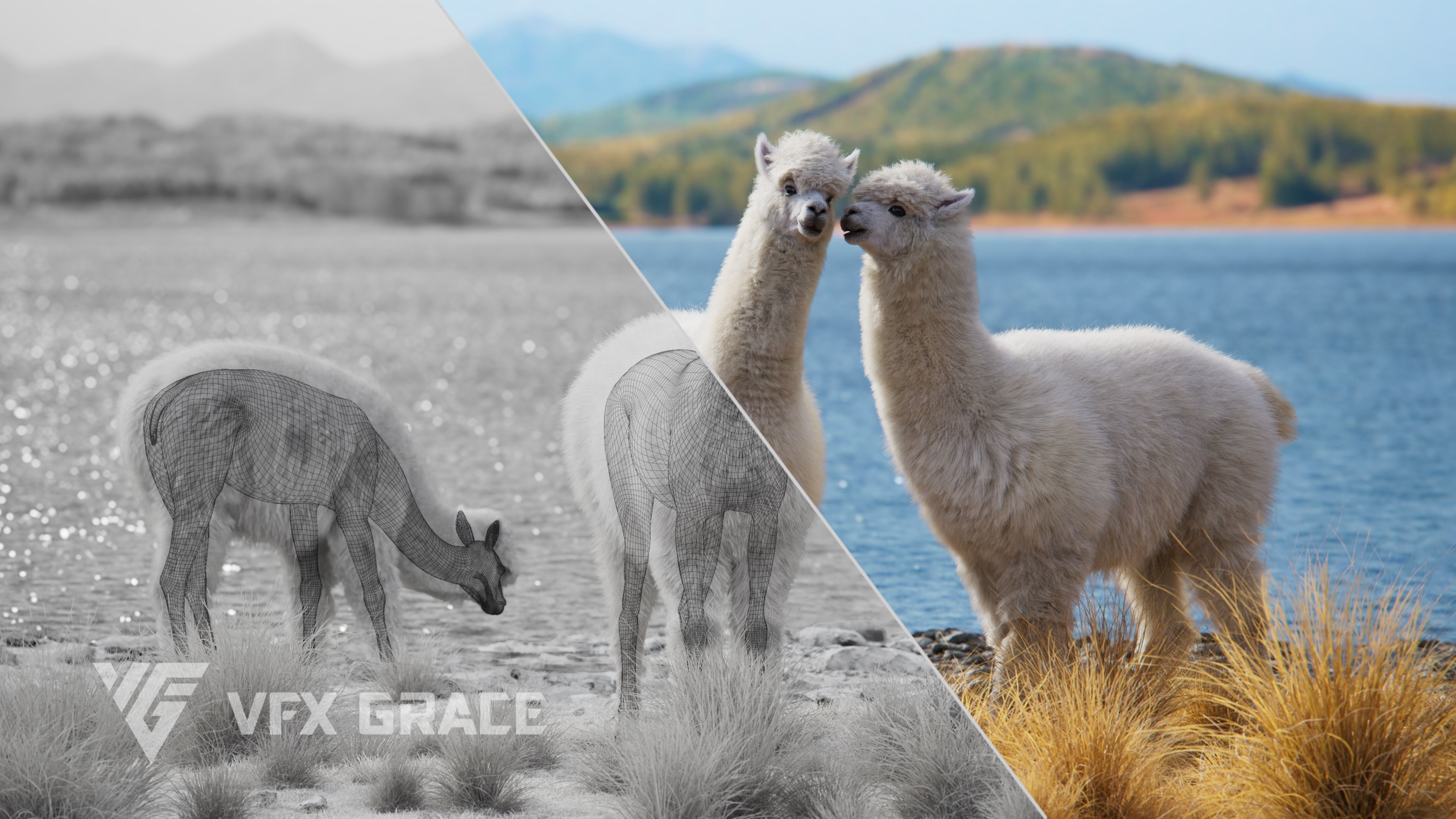 Alpaca Animated VFX Grace 3D model_8