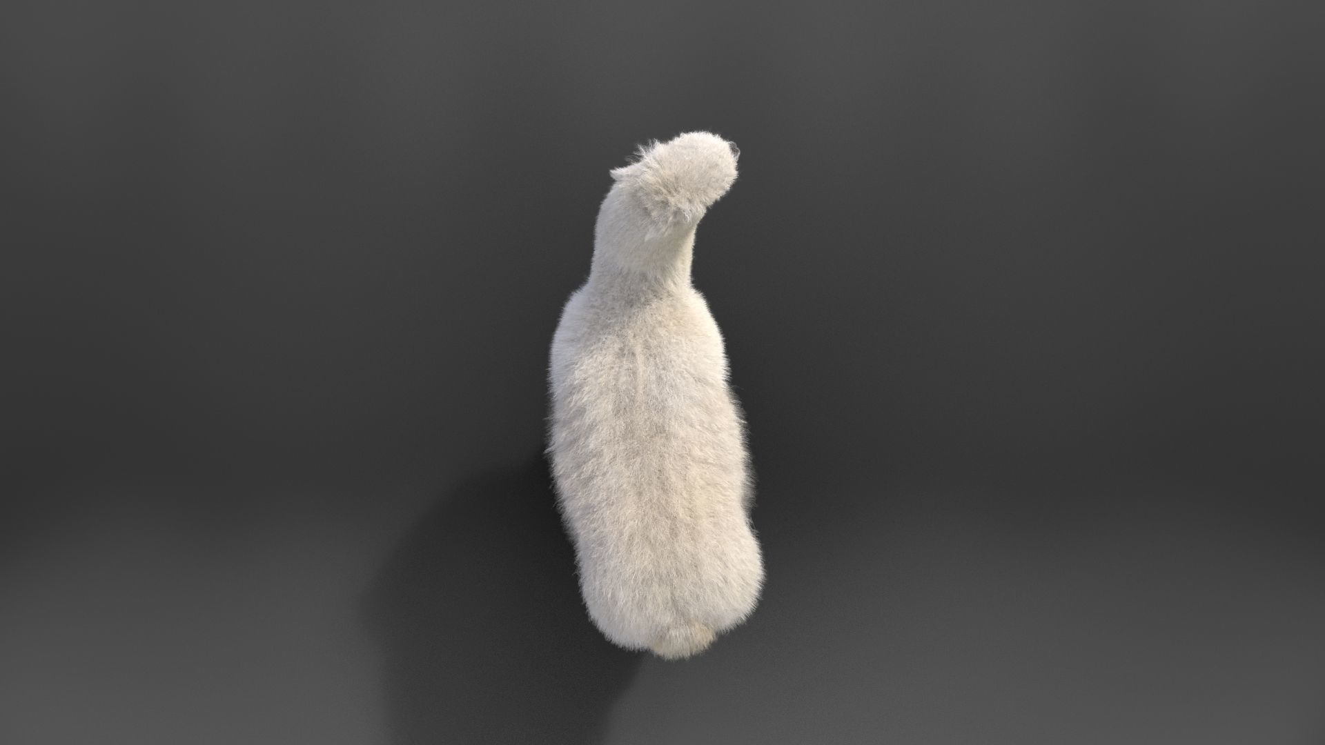 Alpaca Animated VFX Grace 3D model_13