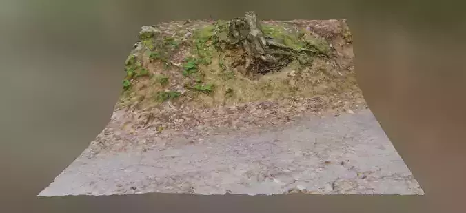 Trunk on street border