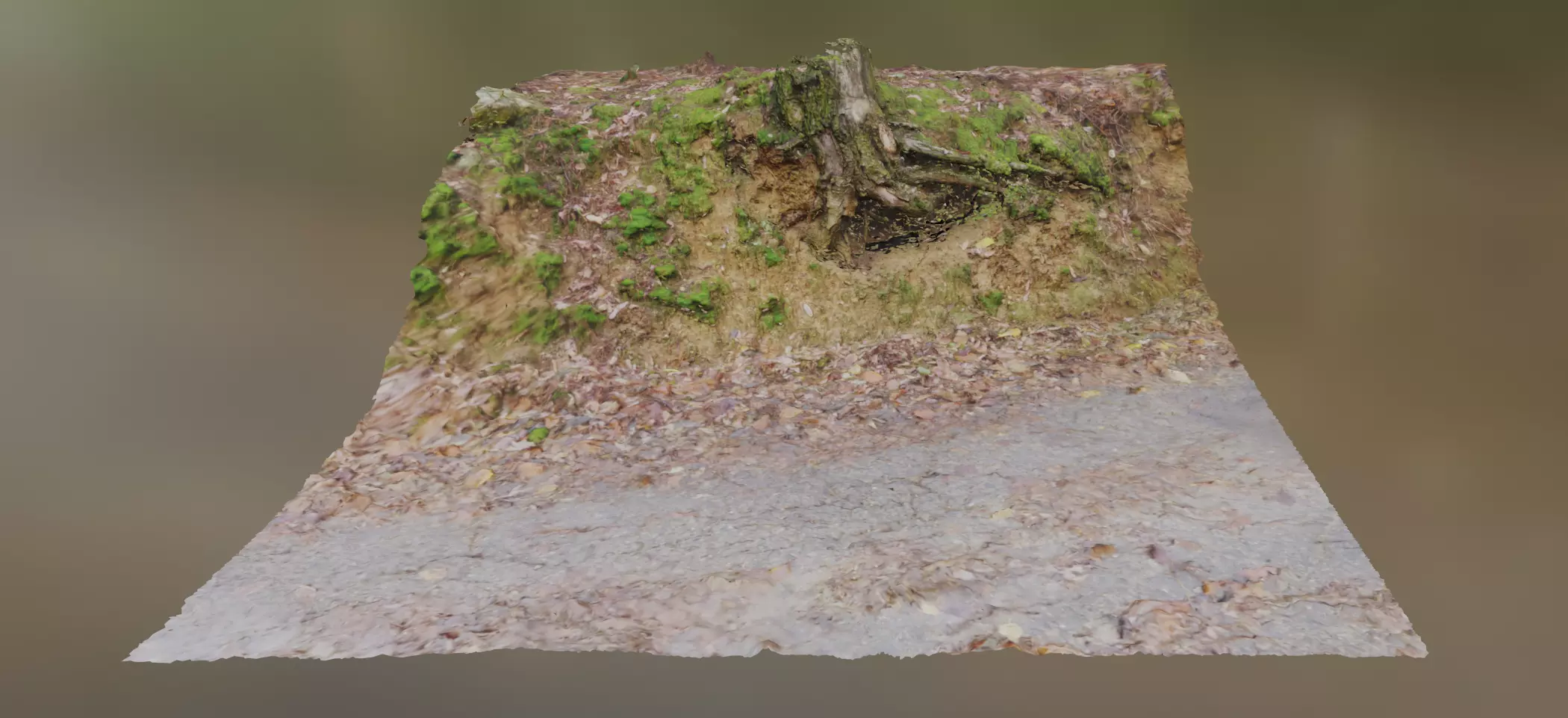Trunk on street border Free 3D model