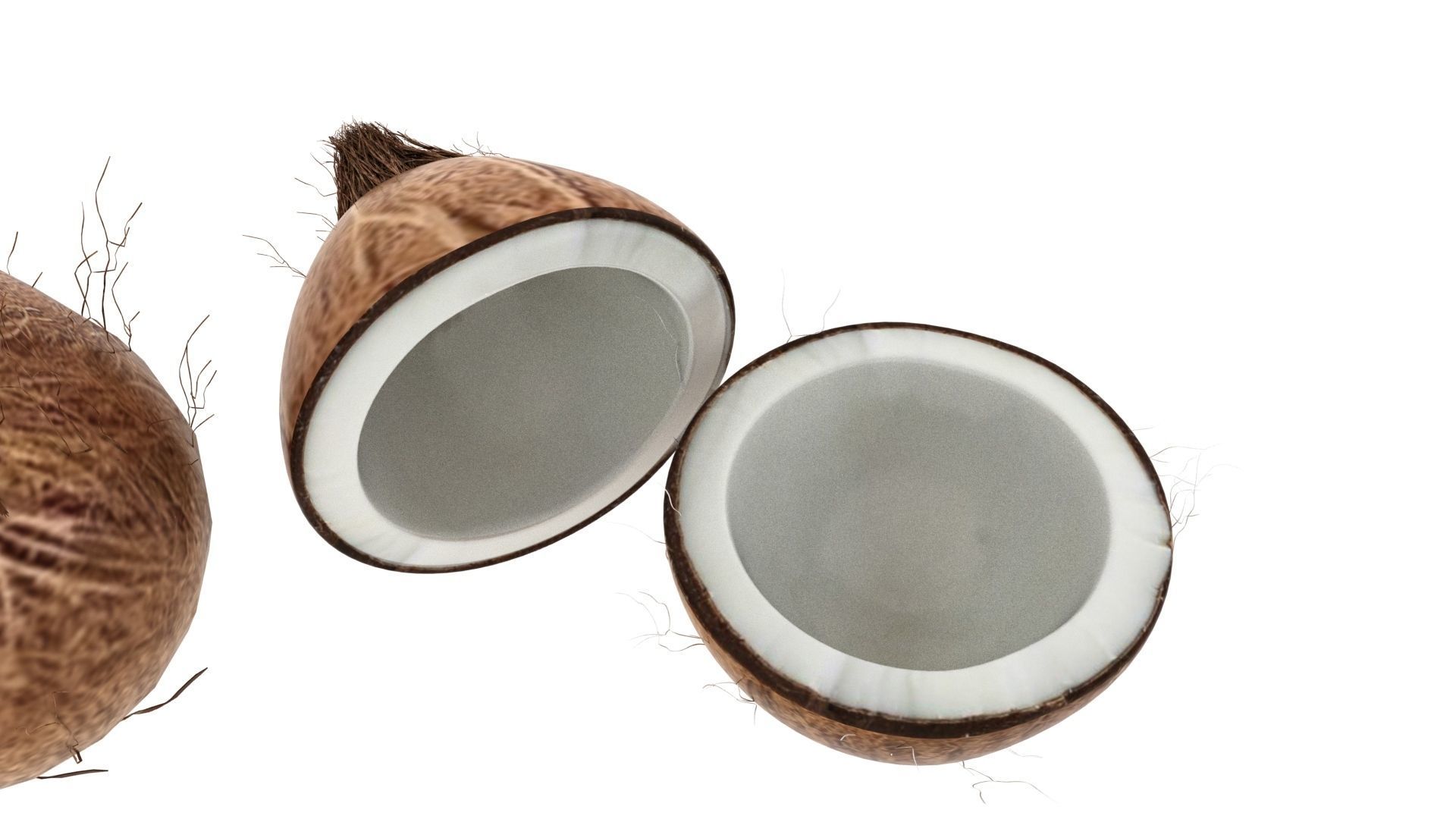 dry cocount 3D model_3