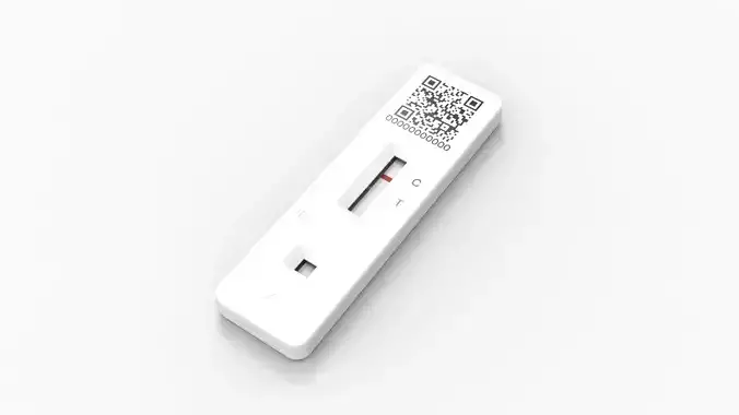 Lateral Flow Test 3D model