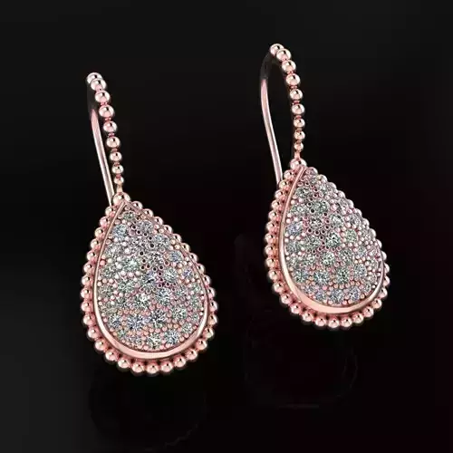 Earrings 26