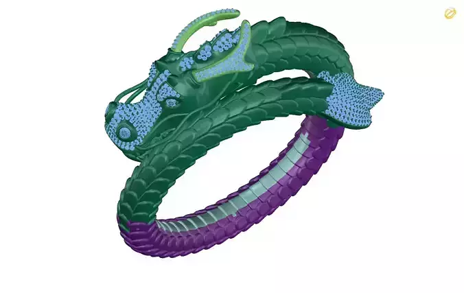 bracelet dragon ring