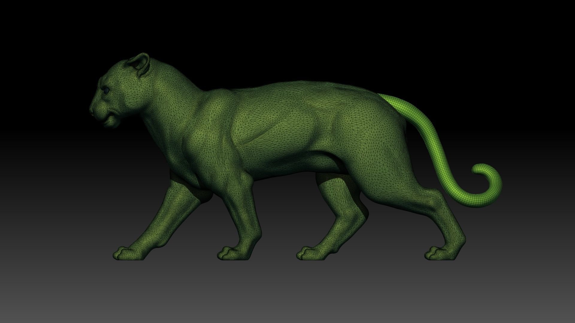 Panther 3D model_1