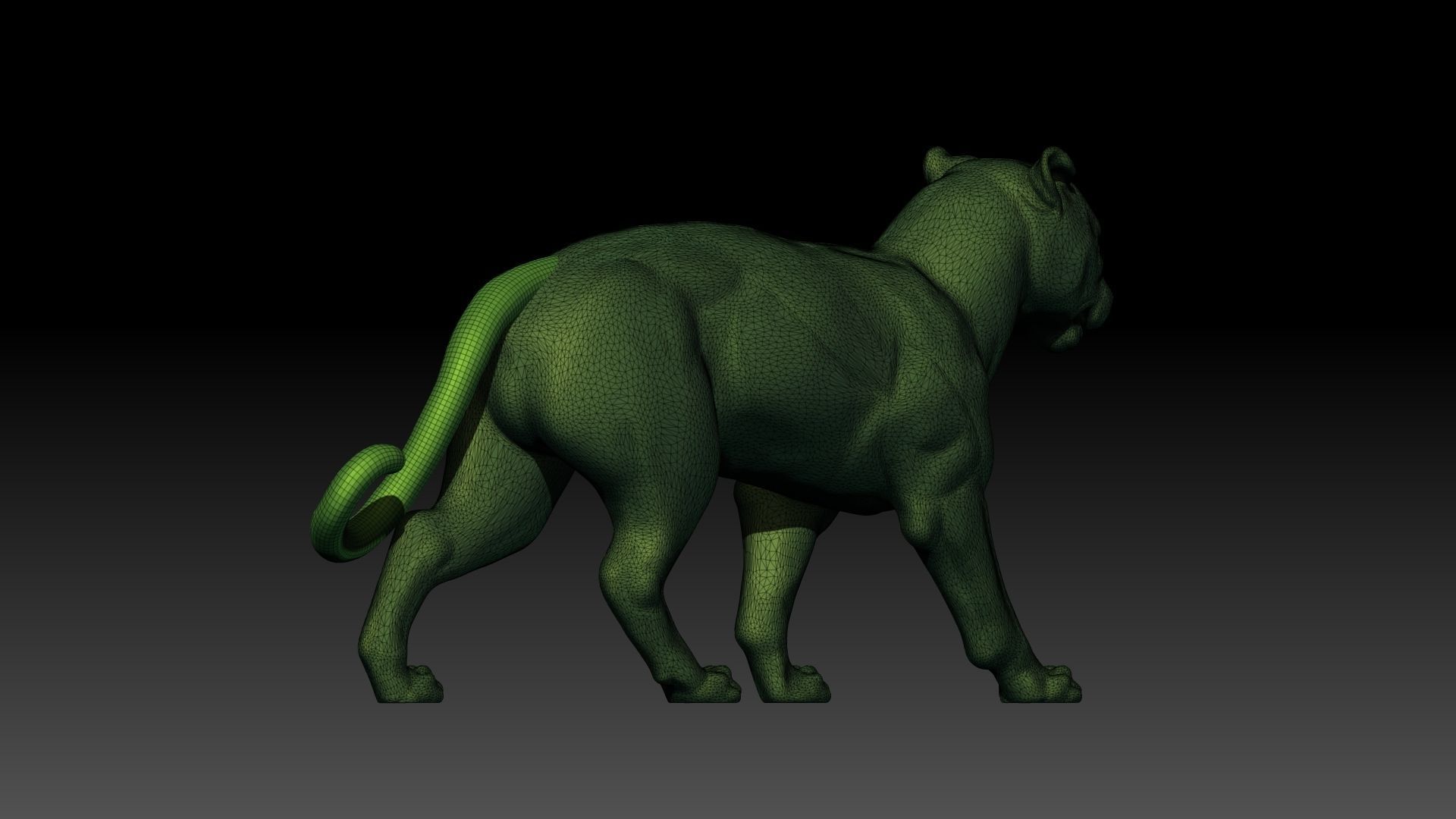 Panther 3D model_9