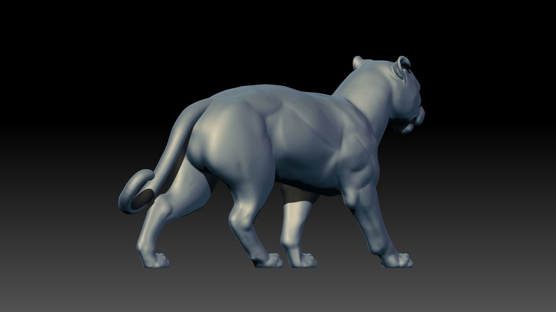 Panther 3D model_8