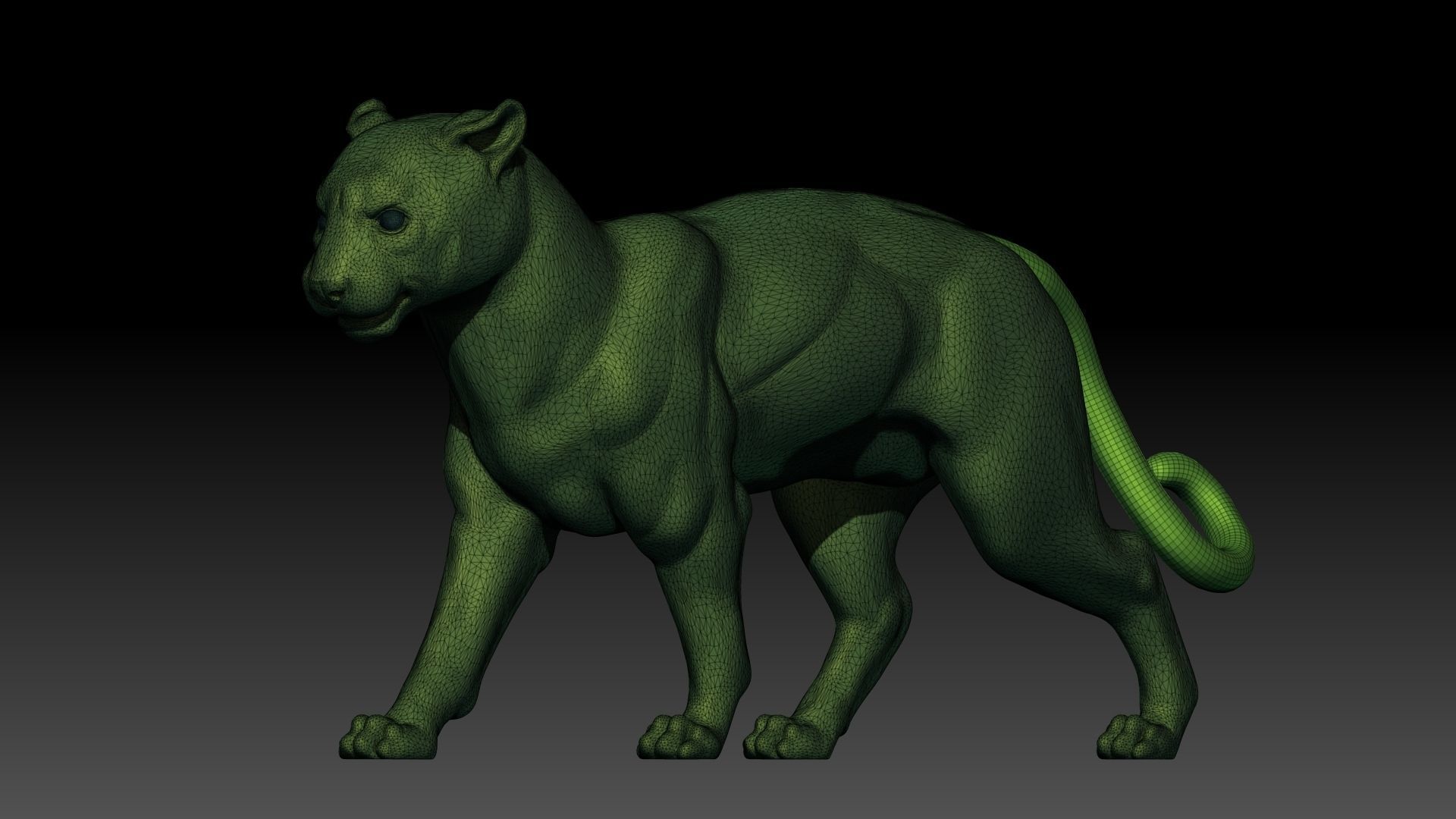 Panther 3D model_3