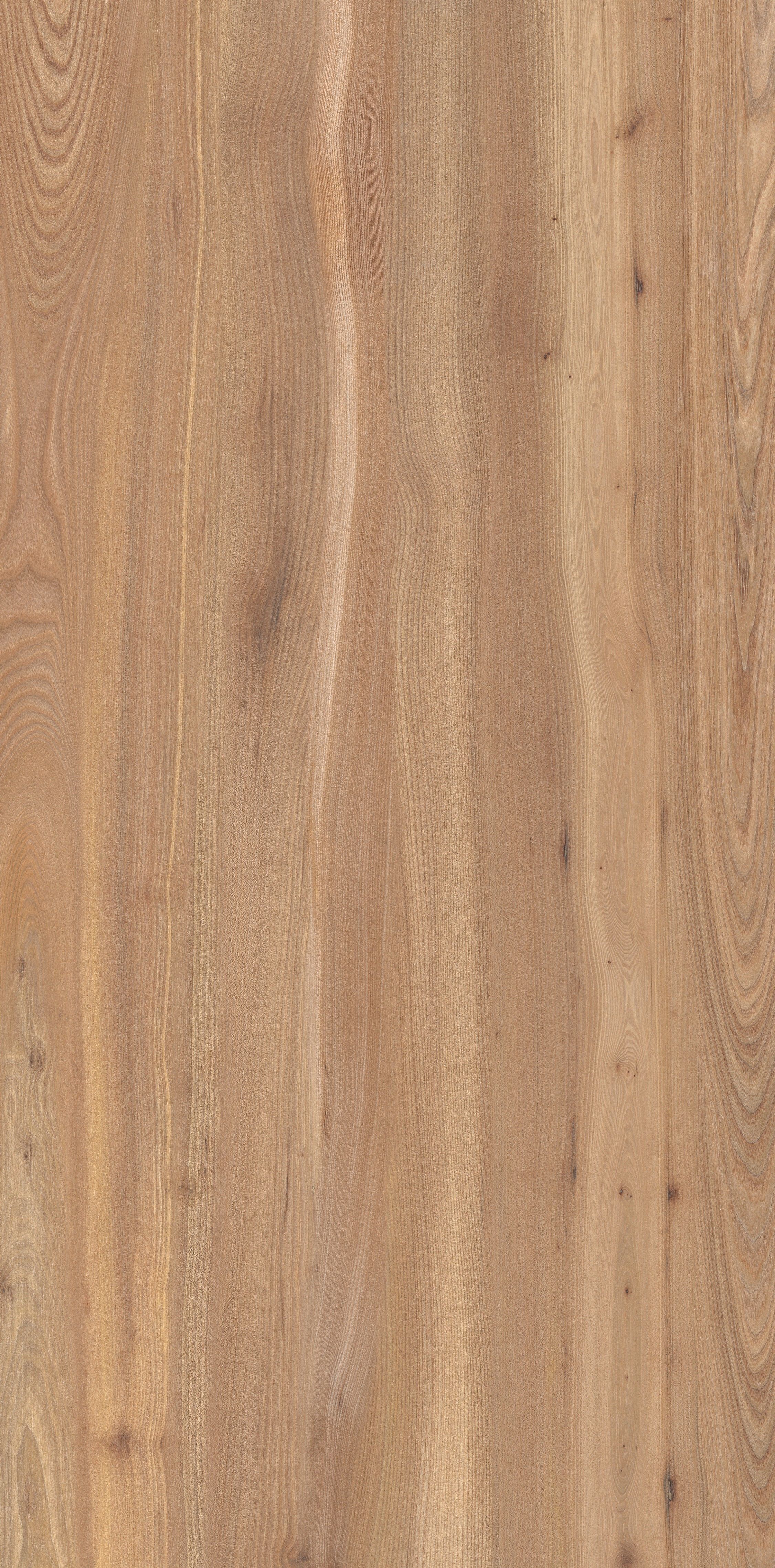 Conception interieur 3D model_11