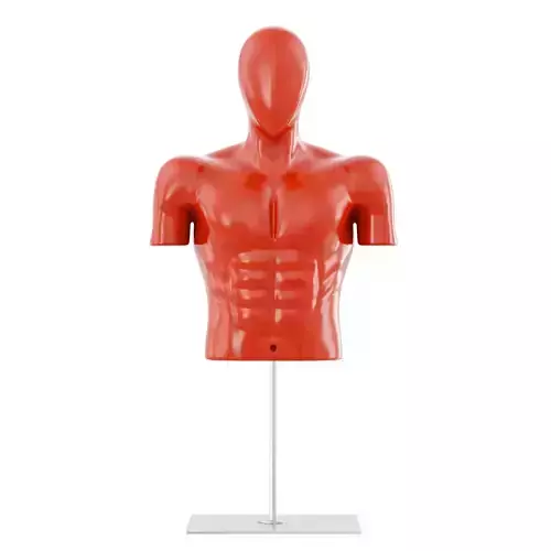 Sports mannequin torso 168