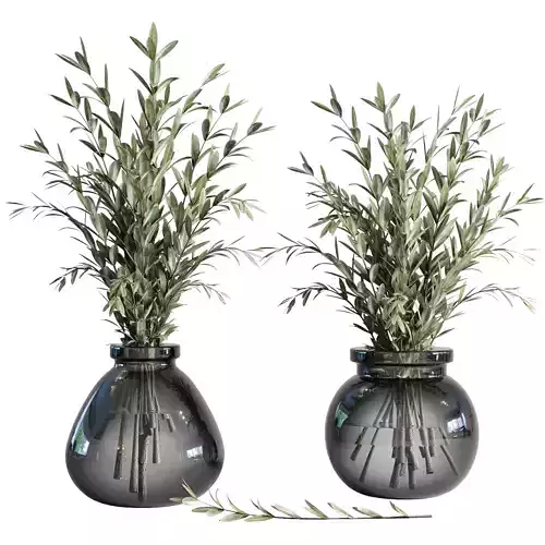 Olives in vases galss