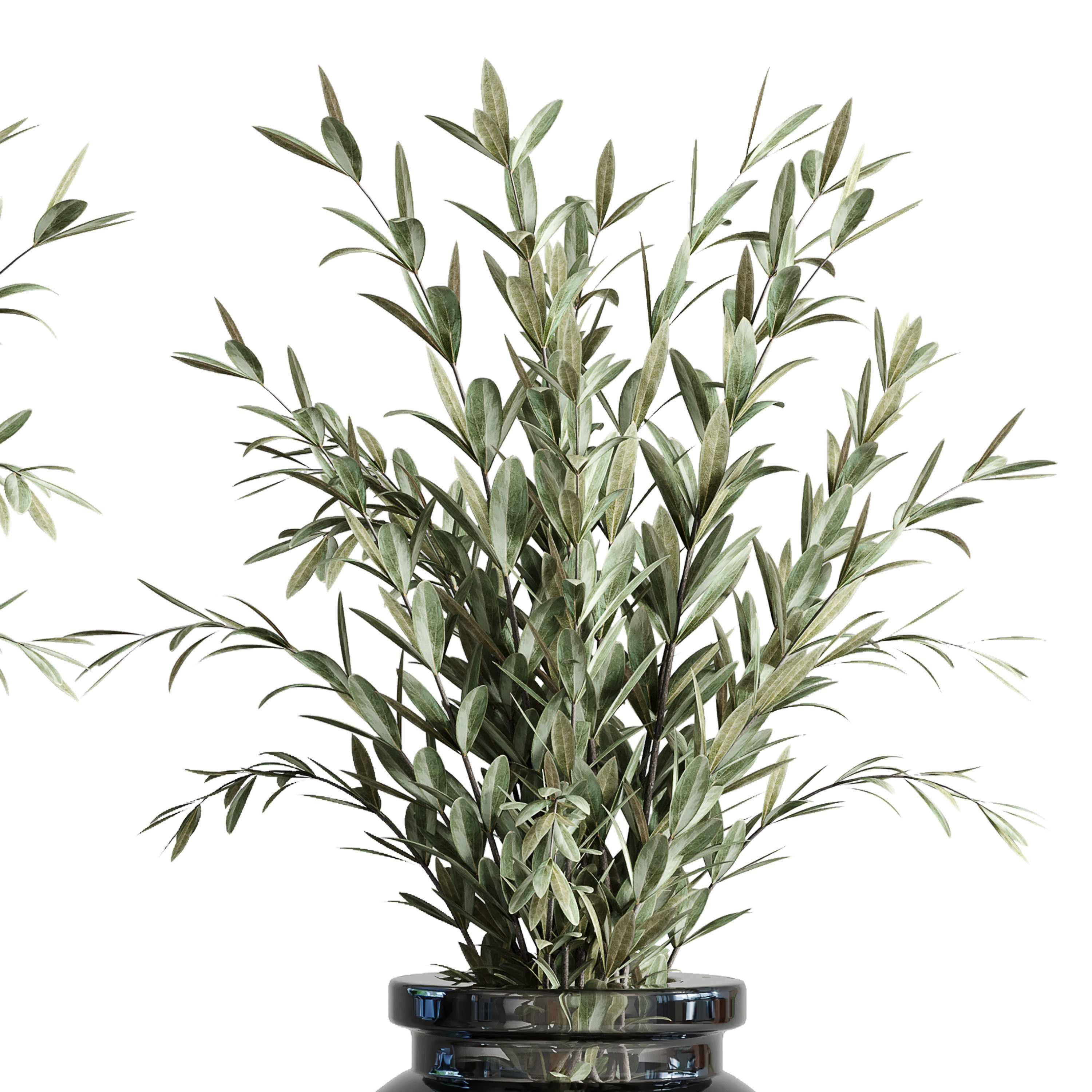 Olives in vases galss 3D model_3