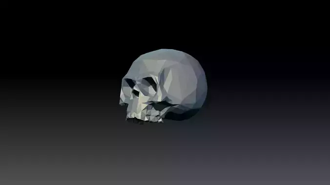 skull low poly Free 3D model