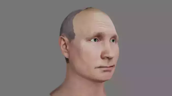 Vladimir Putins head