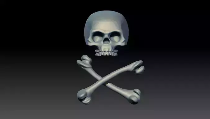 Pirate skull