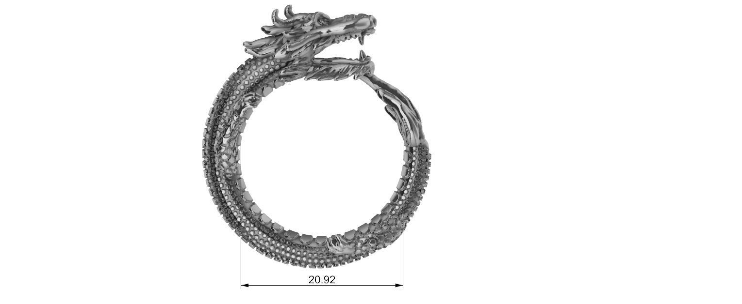 Dragon Ring 3D print model_13