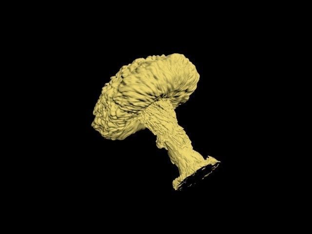 Atomic bomb mushroom cloud 3D print model_31