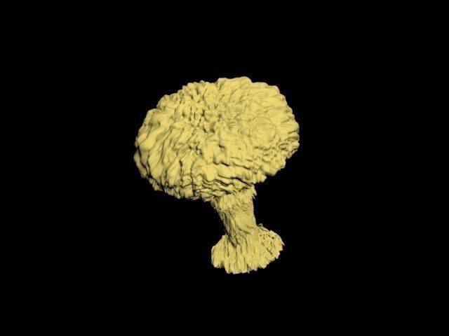 Atomic bomb mushroom cloud 3D print model_43