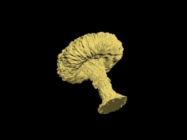 Atomic bomb mushroom cloud 3D print model_35