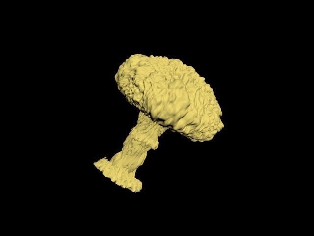 Atomic bomb mushroom cloud 3D print model_15