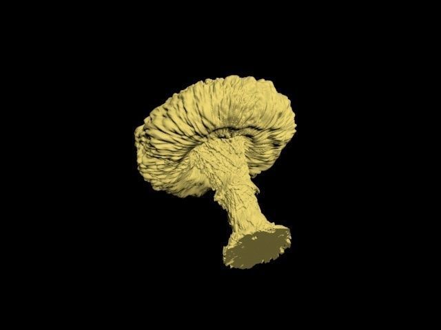 Atomic bomb mushroom cloud 3D print model_30