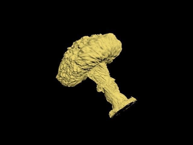 Atomic bomb mushroom cloud 3D print model_33