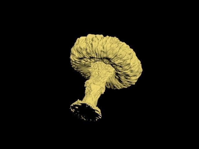 Atomic bomb mushroom cloud 3D print model_23