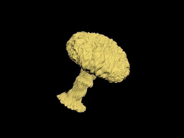 Atomic bomb mushroom cloud 3D print model_14