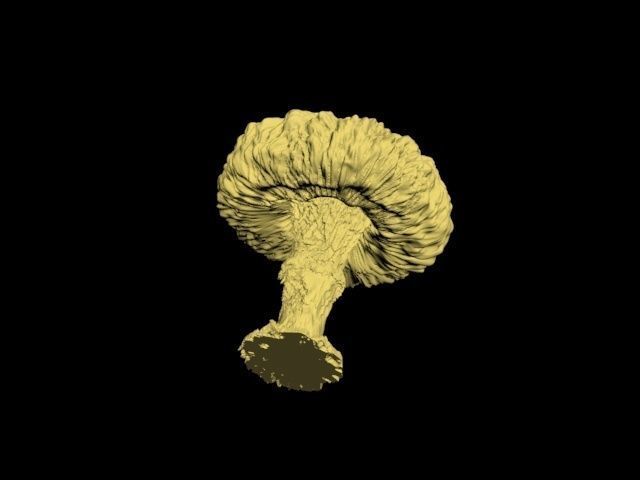 Atomic bomb mushroom cloud 3D print model_24