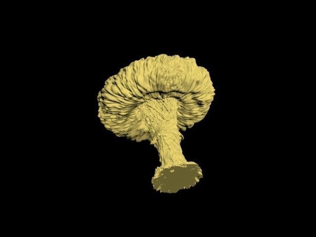 Atomic bomb mushroom cloud 3D print model_28