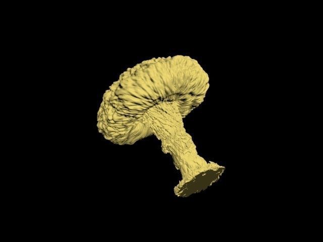 Atomic bomb mushroom cloud 3D print model_34