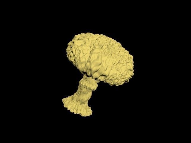 Atomic bomb mushroom cloud 3D print model_12